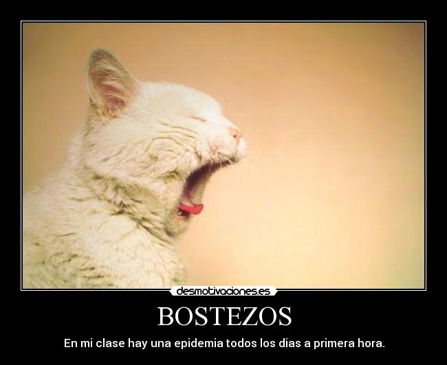 BOSTEZOS - 
