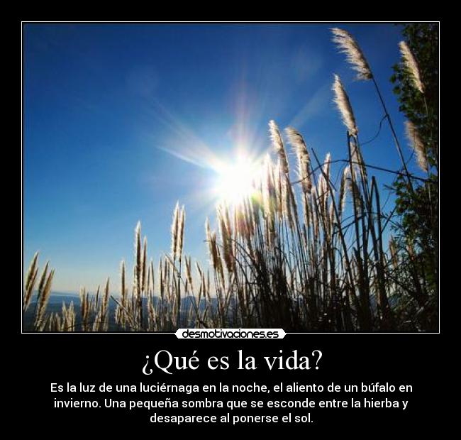 ¿Qué es la vida? -