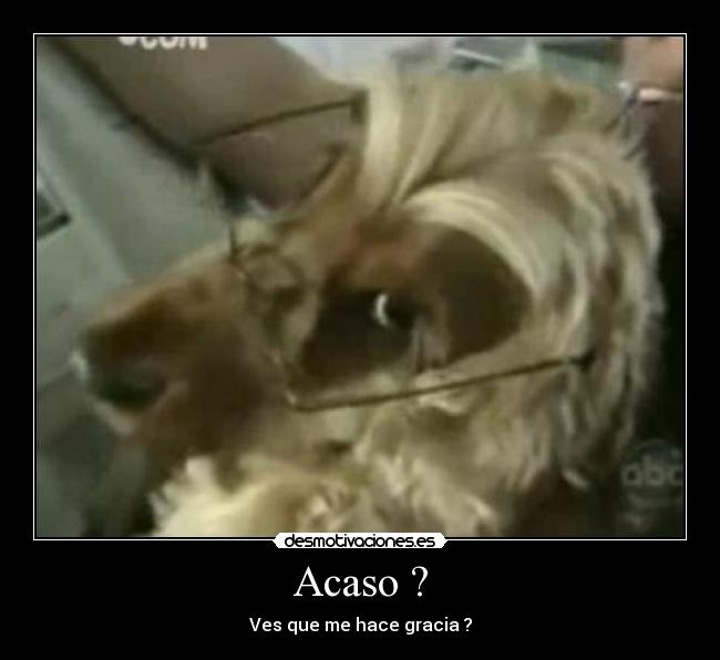 Acaso ? -