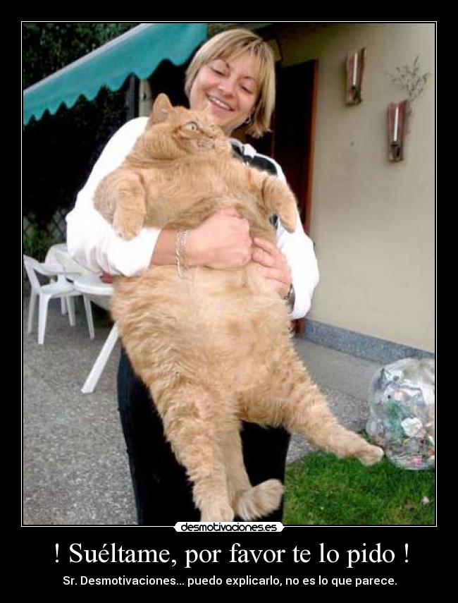 ! Suéltame, por favor te lo pido ! - Sr. Desmotivaciones... puedo explicarlo, no es lo que parece.