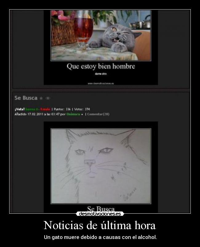 Noticias de última hora - 