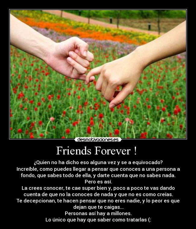 Friends Forever !  - 