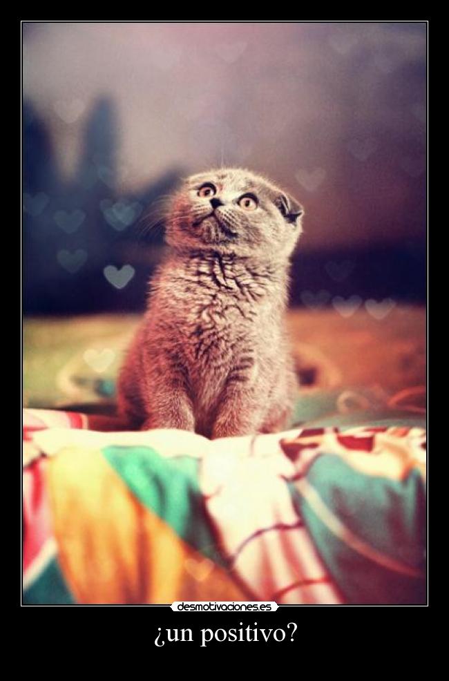 ¿un positivo? - 