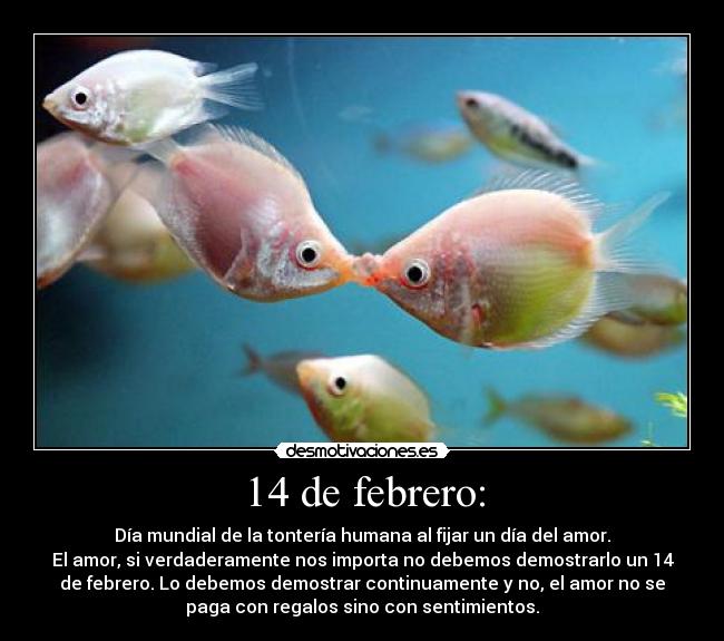 carteles amor febrero valentin peces sentimientos demuestralos wolfri desmotivaciones