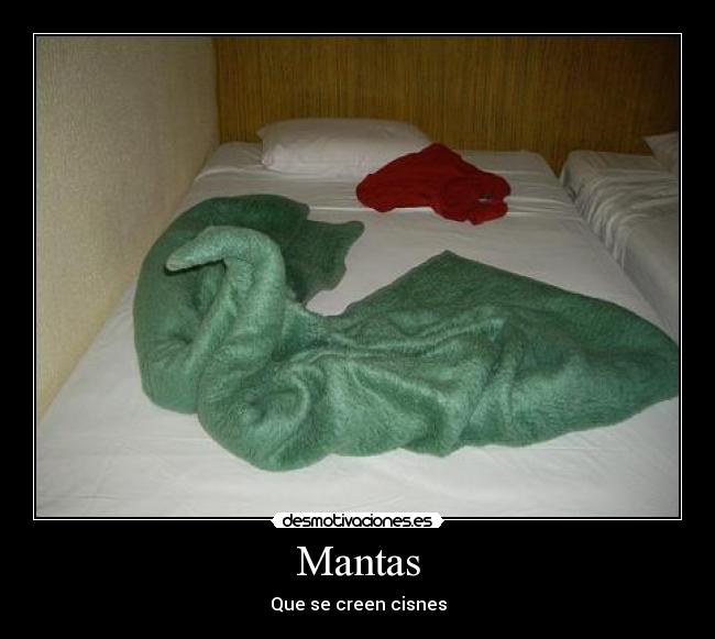 Mantas - 