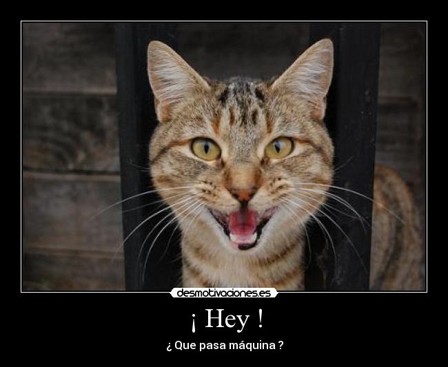 ¡ Hey ! - 