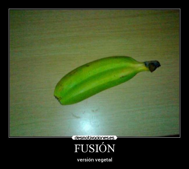 FUSIÓN - versión vegetal