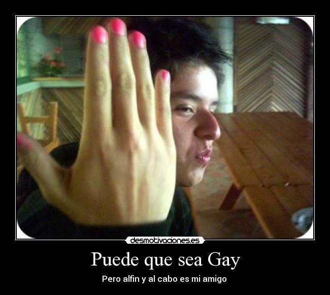 Puede que sea Gay - Pero alfin y al cabo es mi amigo