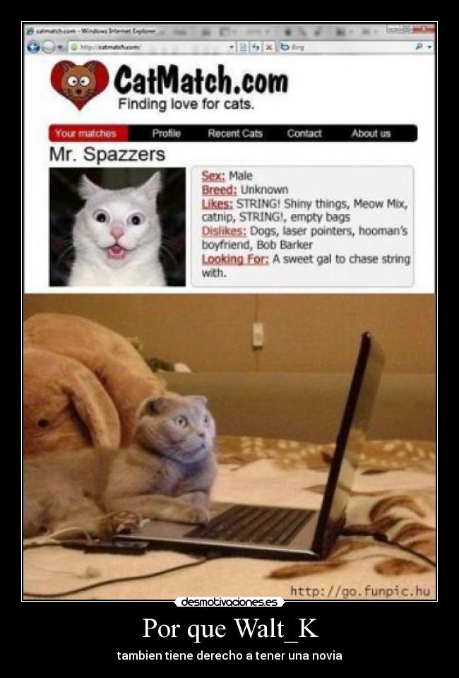 Por que Walt_K - tambien tiene derecho a tener una novia