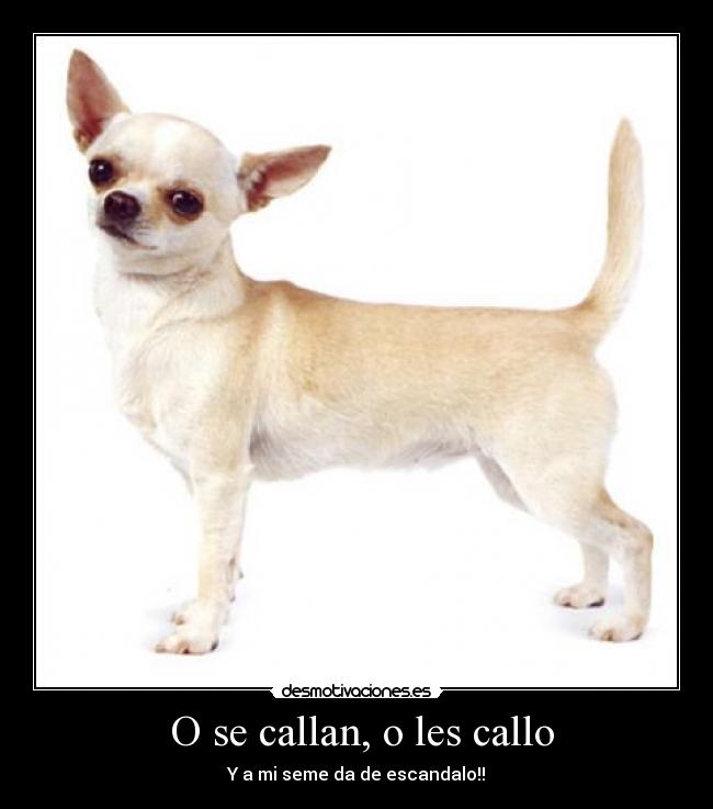 O se callan, o les callo - Y a mi seme da de escandalo!!