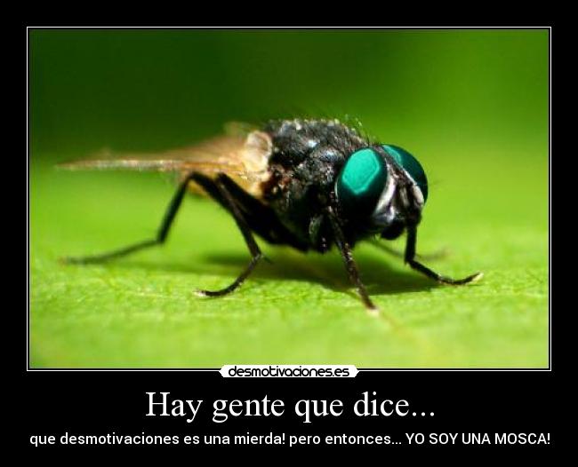 Hay gente que dice... - que desmotivaciones es una mierda! pero entonces... YO SOY UNA MOSCA!