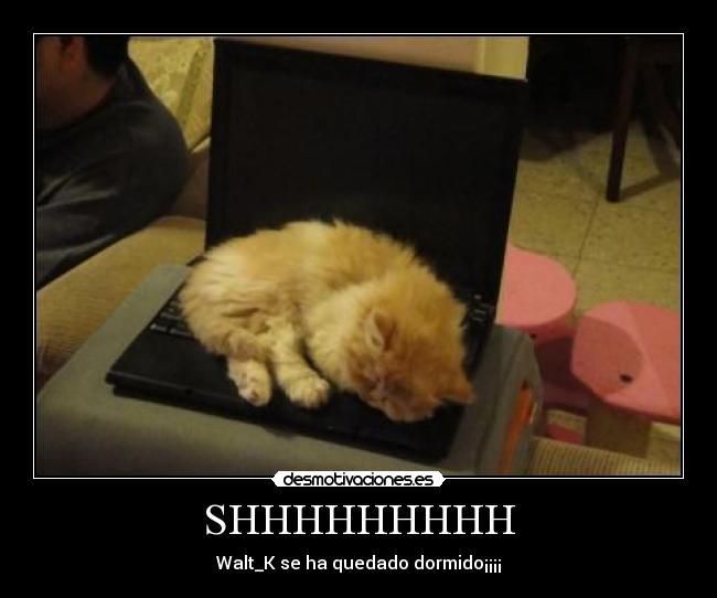 SHHHHHHHHH - Walt_K se ha quedado dormido¡¡¡¡