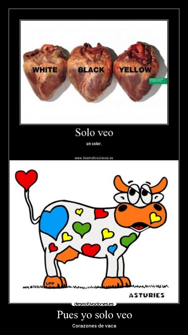 Pues yo solo veo - Corazones de vaca
