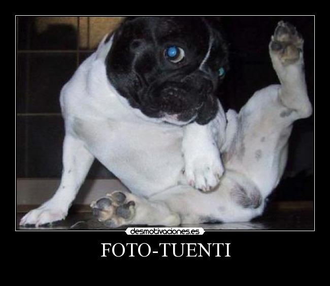 FOTO-TUENTI - 