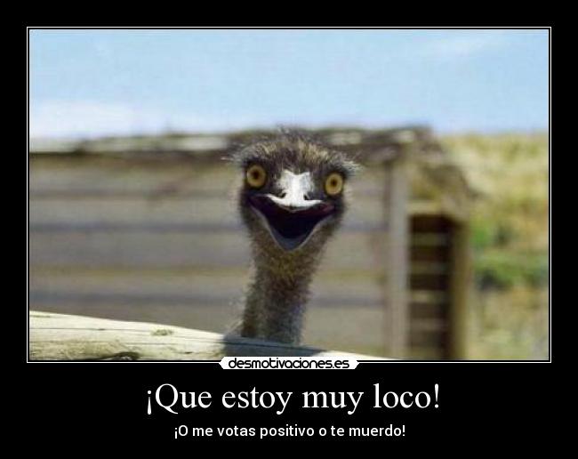 ¡Que estoy muy loco! -