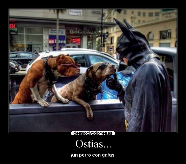 Ostias... - ¡un perro con gafas!