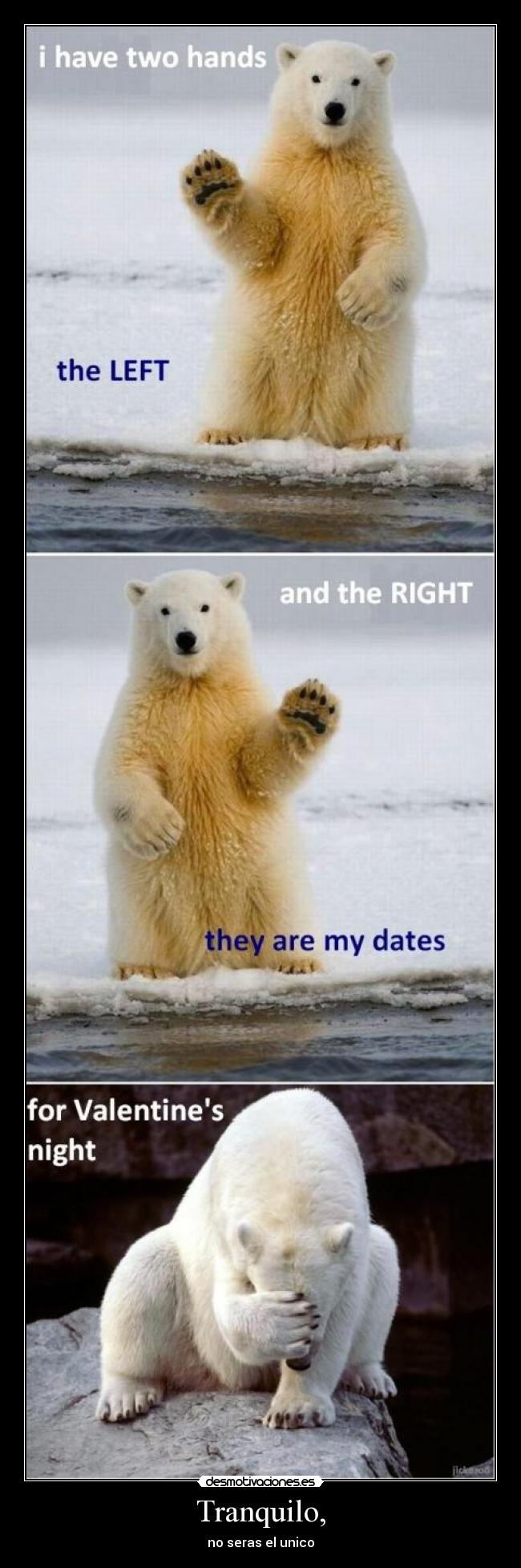 Tranquilo, - no seras el unico