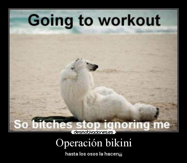 Operación bikini - hasta los osos la hacen¡¡¡