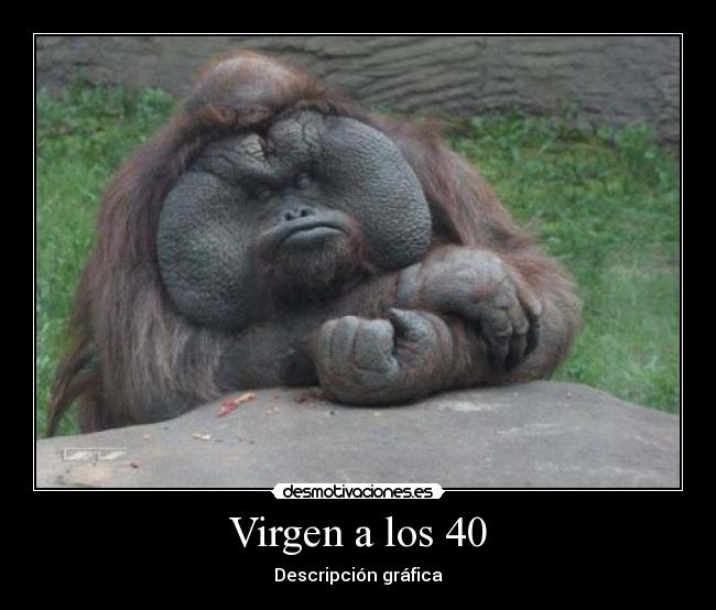 Virgen a los 40 -