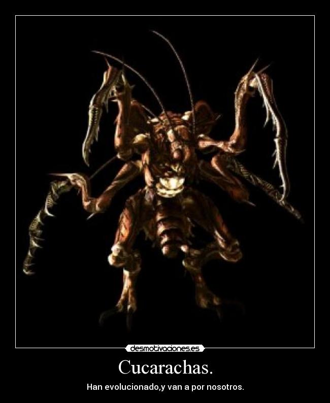 Cucarachas. -