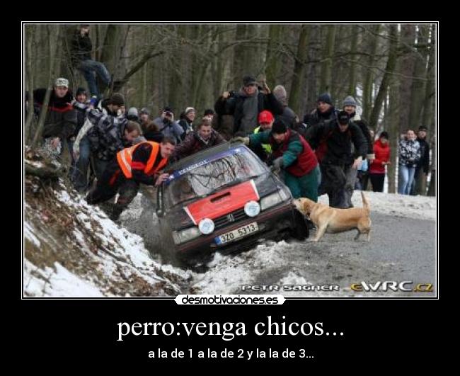 perro:venga chicos... - a la de 1 a la de 2 y la la de 3...