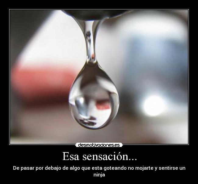Esa sensación... - De pasar por debajo de algo que esta goteando no mojarte y sentirse un ninja