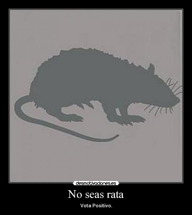 No seas rata -