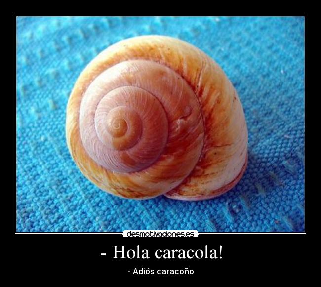 - Hola caracola! - 