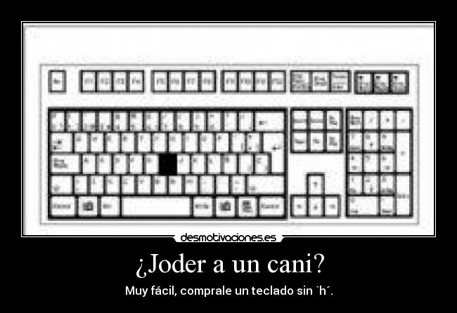 ¿Joder a un cani? -