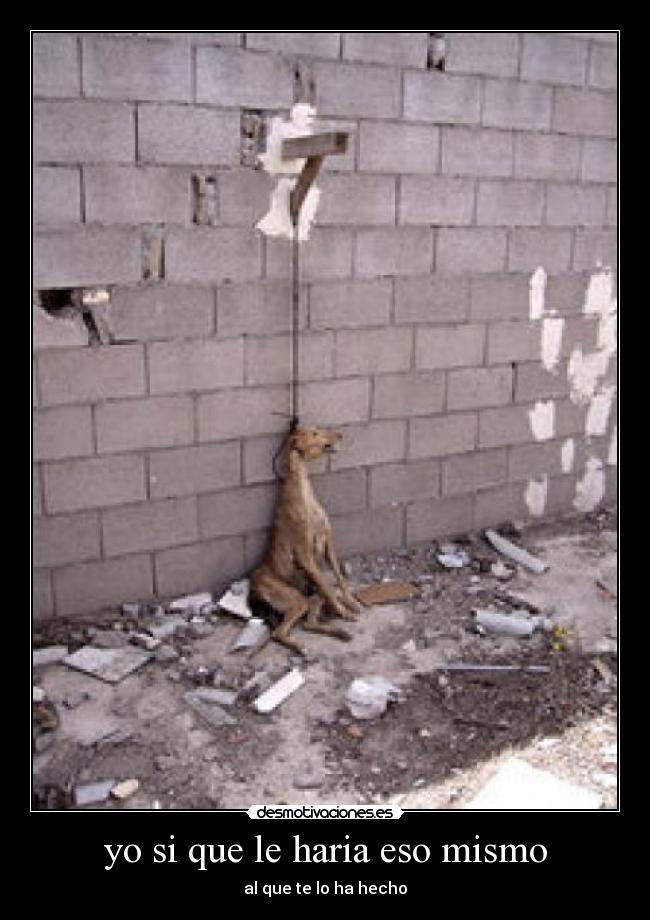 yo si que le haria eso mismo -