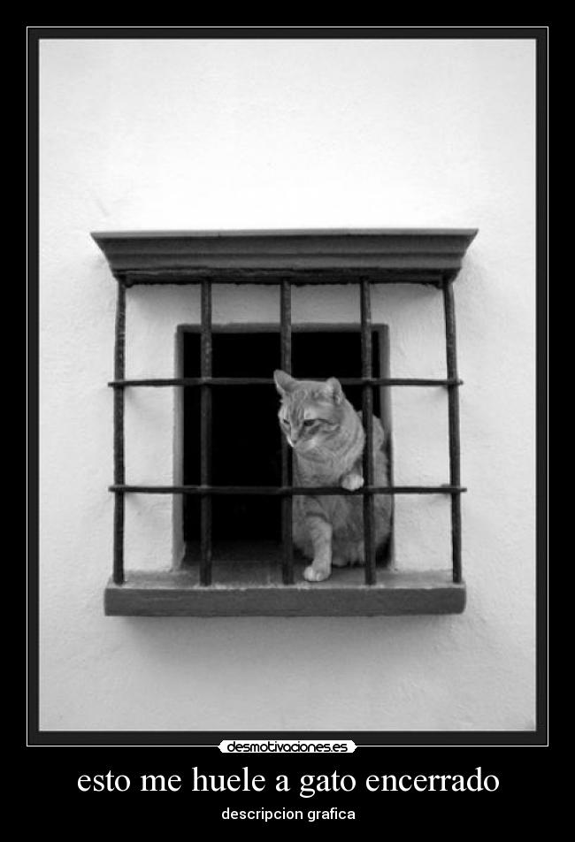 carteles gatos encerrados desmotivaciones