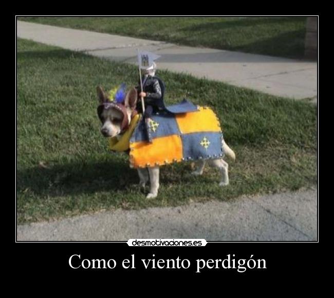 Como el viento perdigón -