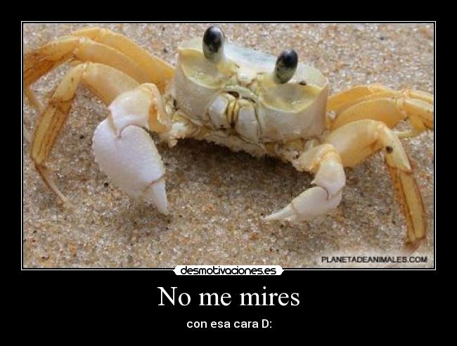 carteles cangrejos desmotivaciones