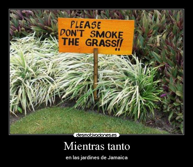 carteles comedia desmotivaciones