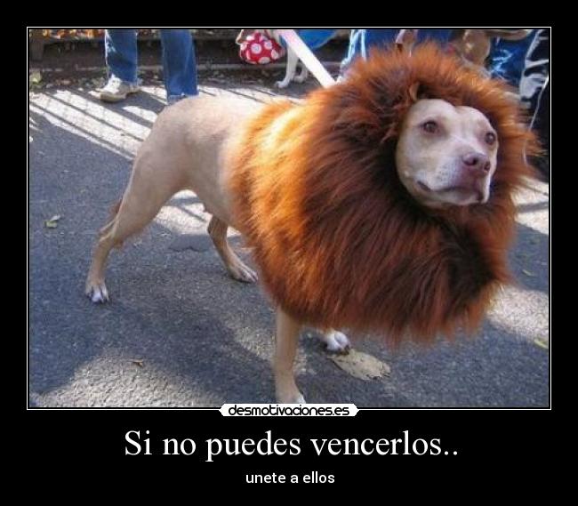 Si no puedes vencerlos.. -