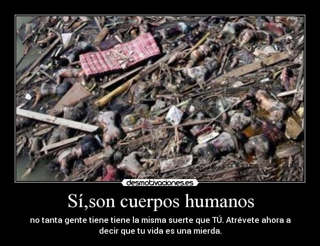 Sí,son cuerpos humanos - 