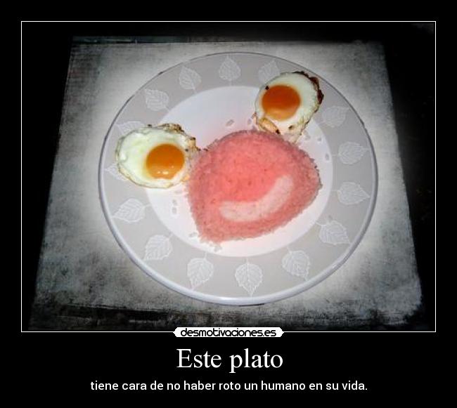 Este plato - tiene cara de no haber roto un humano en su vida.