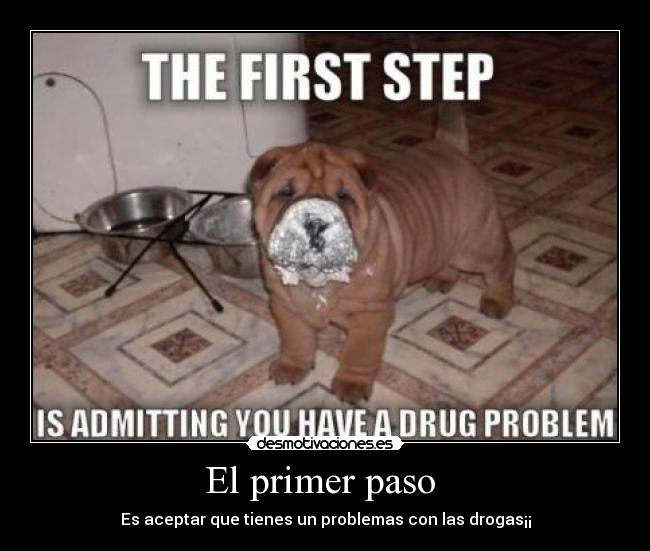 carteles priemr paso desmotivaciones