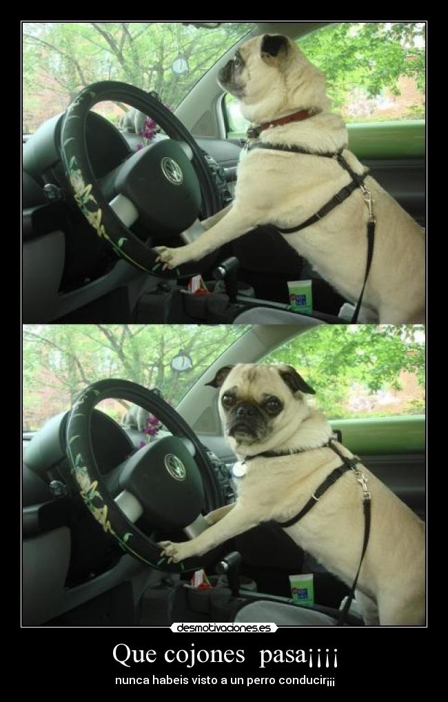 Que cojones pasa¡¡¡¡ -