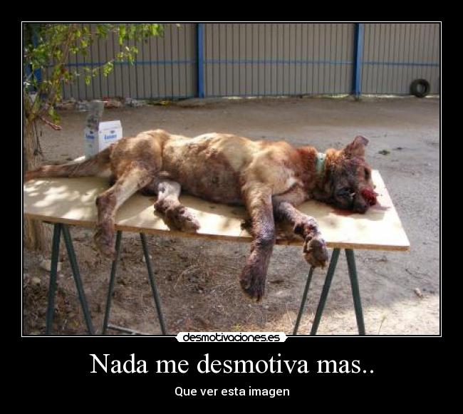 Nada me desmotiva mas.. -