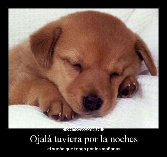 Ojalá tuviera por la noches - 