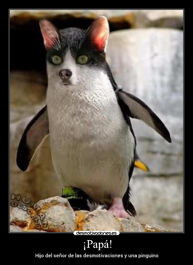 ¡Papá! - Hijo del señor de las desmotivaciones y una pinguino