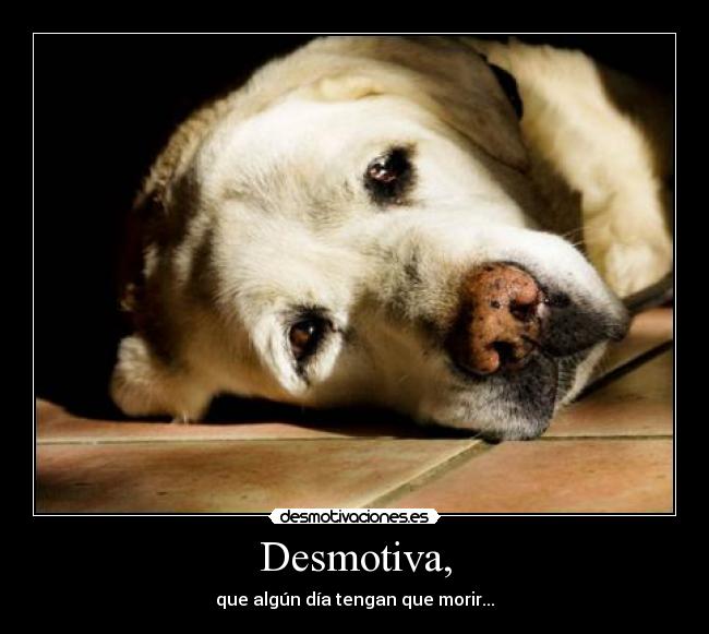 Desmotiva, - que algún día tengan que morir...