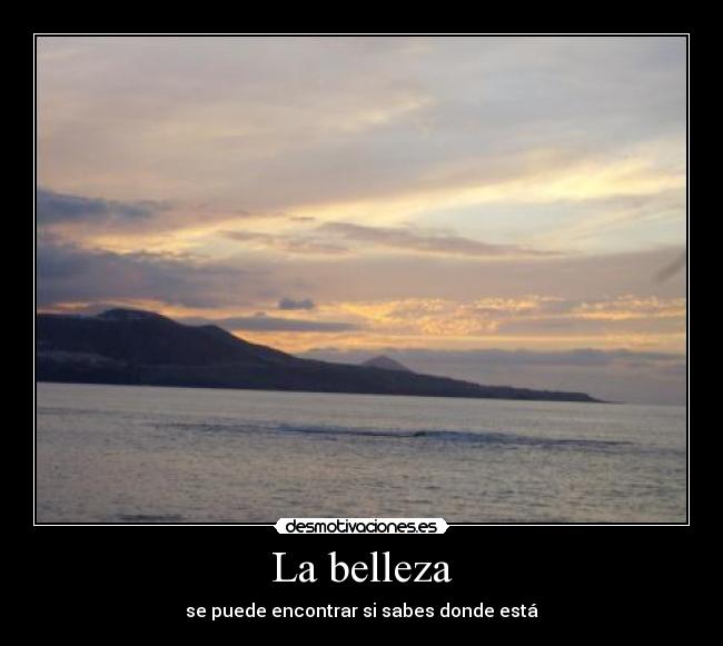 La belleza - 