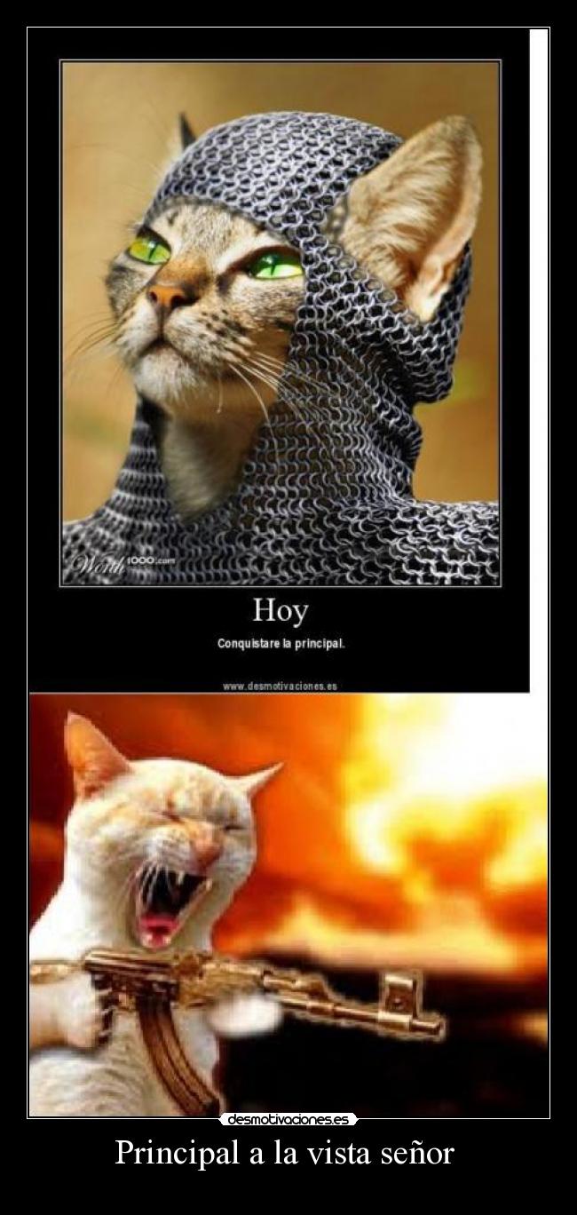 Principal a la vista señor -