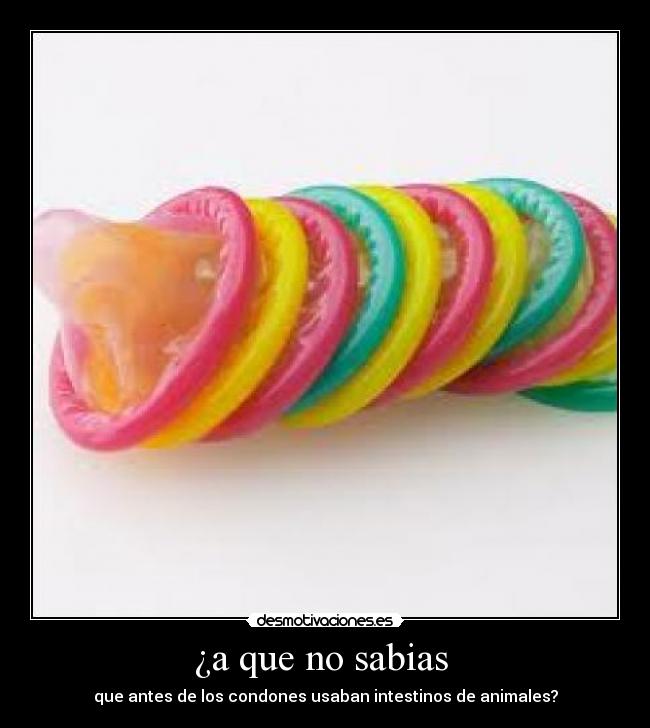 ¿a que no sabias - que antes de los condones usaban intestinos de animales?