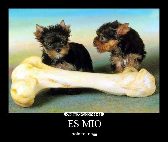 ES MIO - nolo tokes¡¡¡¡