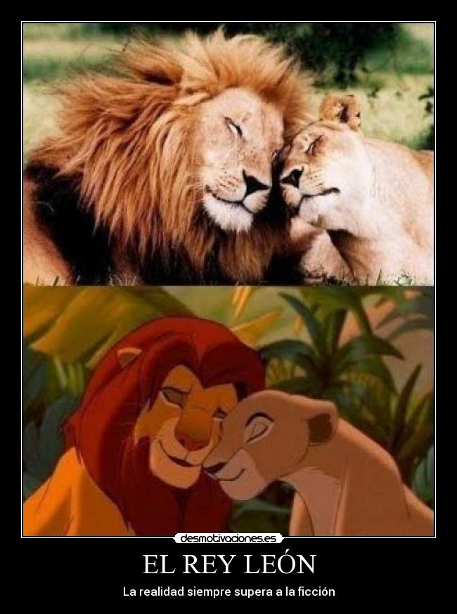 EL REY LEÓN -