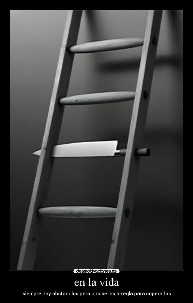 en la vida - siempre hay obstaculos pero uno se las arregla para superarlos