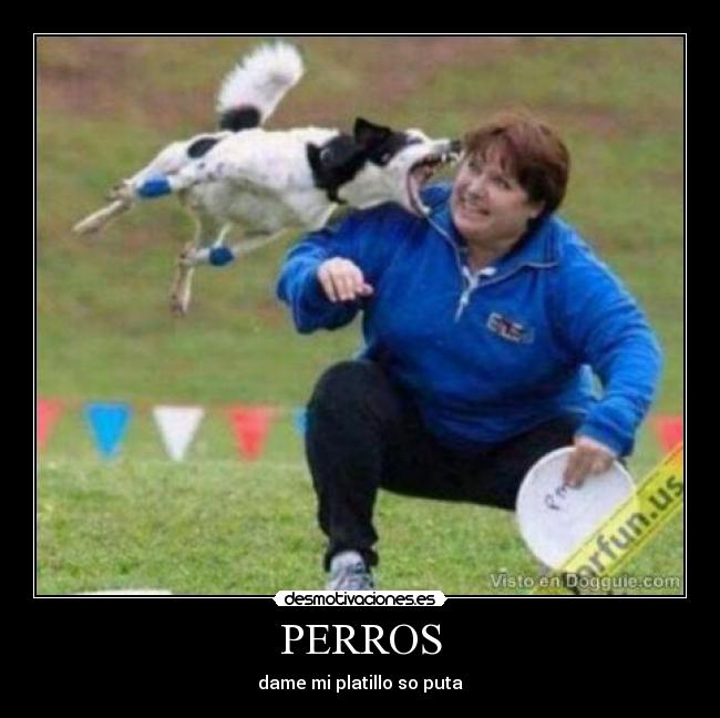 PERROS - dame mi platillo so puta